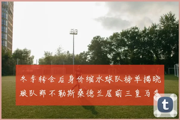 冬季转会后身价缩水球队榜单揭晓狼队那不勒斯桑德兰居前三皇马多特也在其中