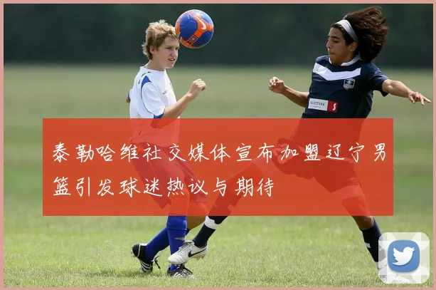 泰勒哈维社交媒体宣布加盟辽宁男篮引发球迷热议与期待