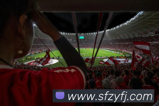 开云APP 高清赛事图