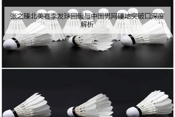 张之臻北美赛季发球回暖与中国男网硬地突破口深度解析