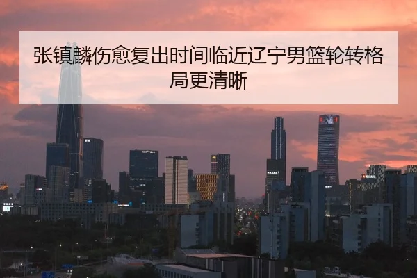 张镇麟伤愈复出时间临近辽宁男篮轮转格局更清晰